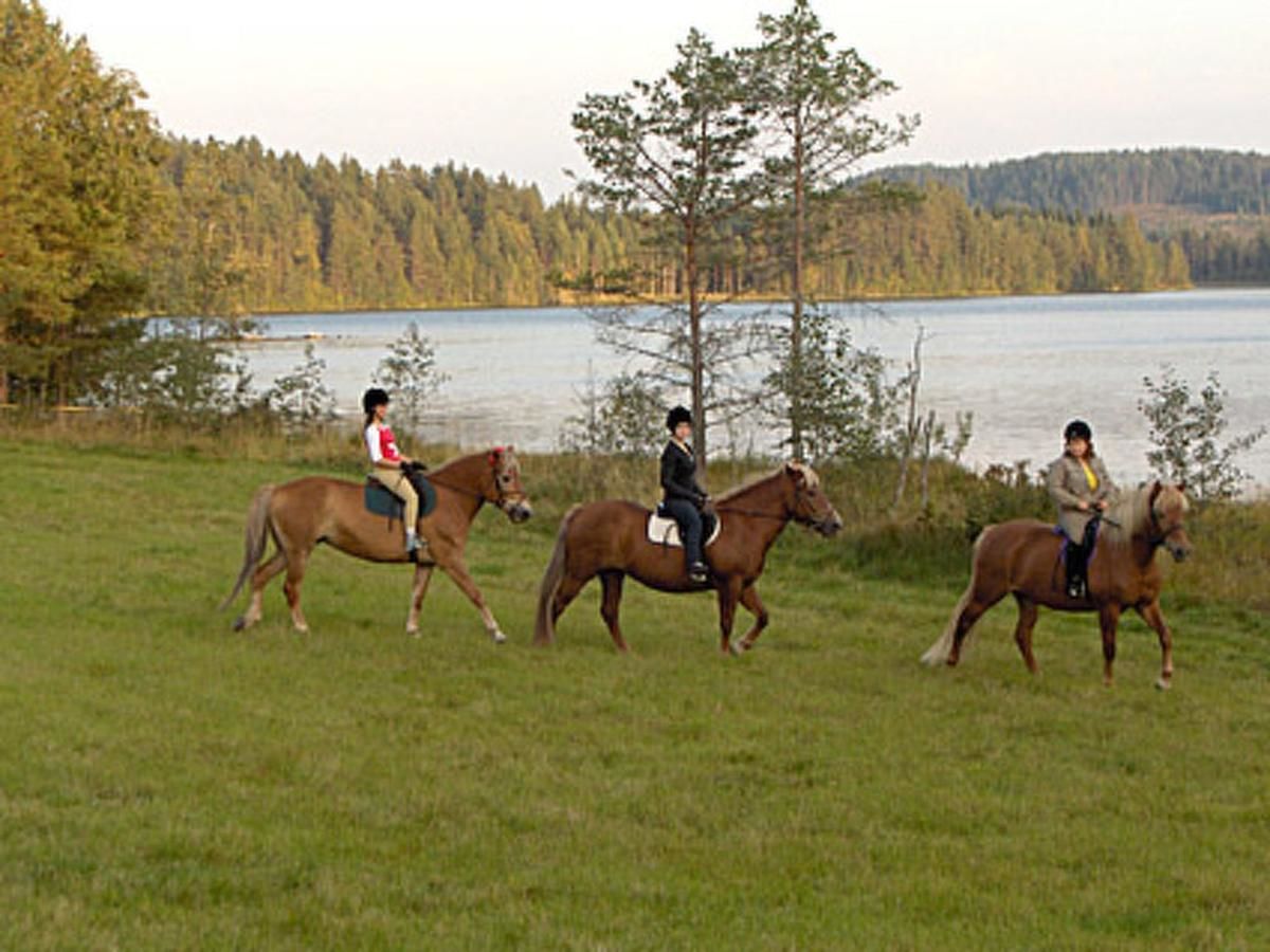 Дома для отпуска Holiday Home Lepikko Juhanala-29